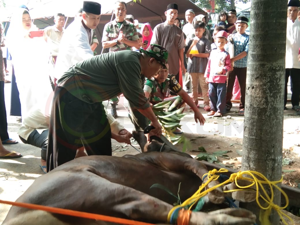 LensaHukum.co.id - IMG 20190811 WA0048 - Dandim 0506 Tangerang Serahkan Hewan Kurban