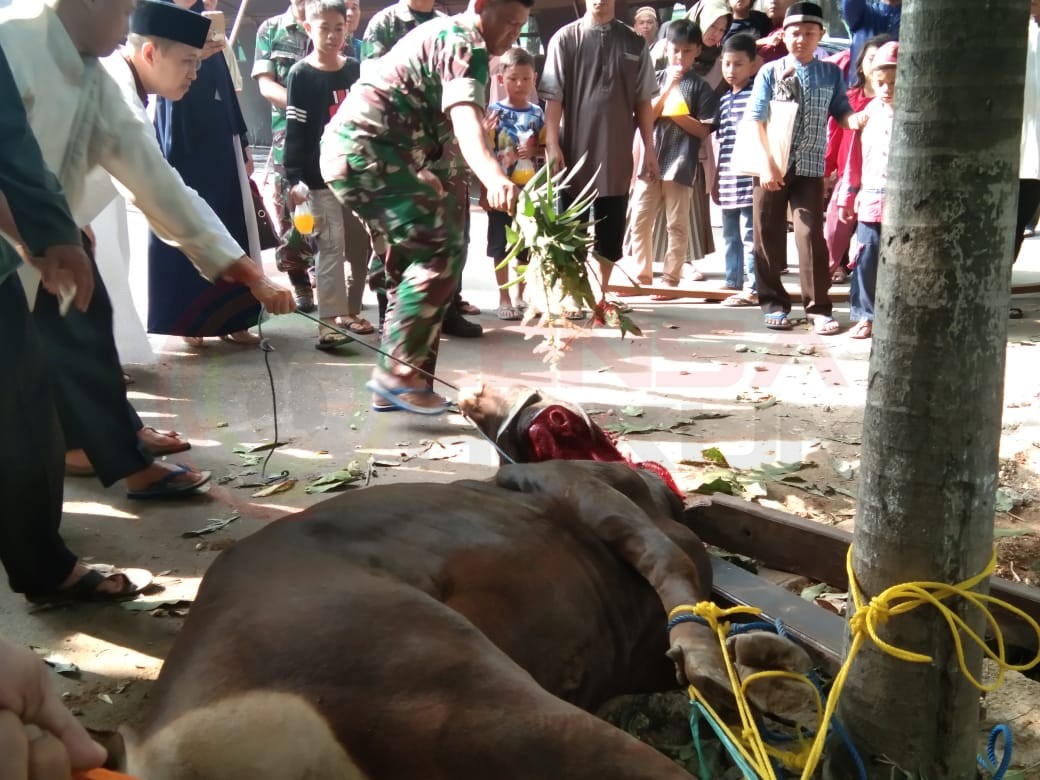 LensaHukum.co.id - IMG 20190811 WA0049 - Dandim 0506 Tangerang Serahkan Hewan Kurban